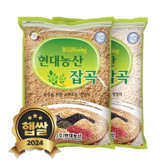 현대농산 2024년 햅쌀 국산 현미 2kg+찹쌀 2kg 혼합곡