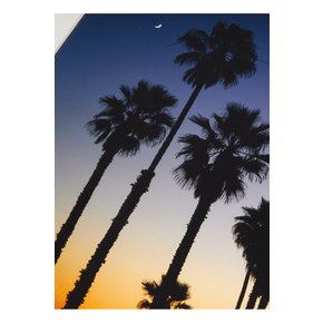 Framed 2018 Stephen Albanese LA Sunset Print, 16 x 20