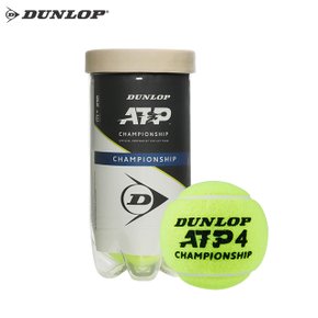 ATP 챔피언쉽 시합구 캔볼 1캔 2개입 테니스볼 테니스공
