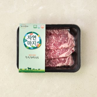  [냉장][자연마지]무항생제 한우 1+등급 채끝 구이 300g