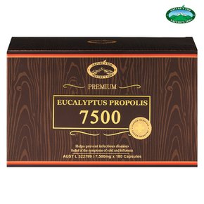 네이쳐스탑 호주 유칼립투스 프로폴리스 7500mg 180캡슐x2박스