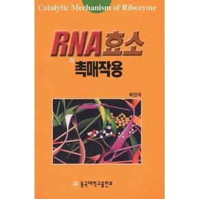 RNA 효소의 촉매작용