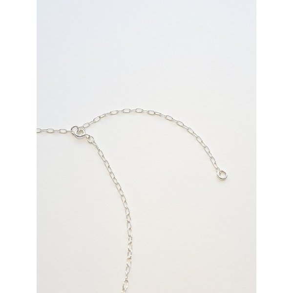 Pearl Link Long Necklace