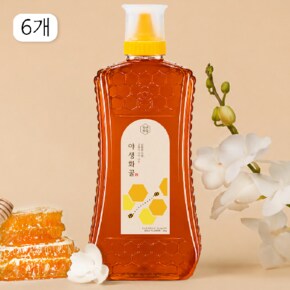 (G)청년벌집 야생화꿀 2kg x 6개 천연벌꿀 자연벌꿀 토종꿀