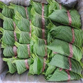 깻잎 50묶음(1묶음 12-15장내외)
