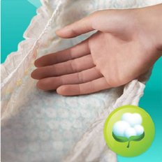 유럽산 베이비드라이 밴드6단계 기저귀 파우더향 Pampers 바우처