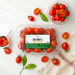 스테비아 대추 방울토마토 청년마토 500g (500gx1팩)