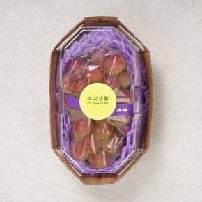[신선장인] 이대훈 명인 써니돌체 포도 650g/팩