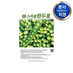 스파클 완두콩 씨앗 500g . 채소 왜성종 재배 다수확 품종 콩키우기 씨 종자