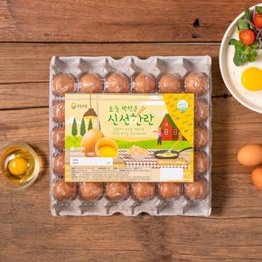 금주 신선계란 행사~40%▼