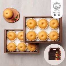 [SSG상품권증정이벤트][바로배송]나주 배 2.7kg 5과+나주 배 2.7kg 5과 실속세트