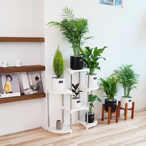 DAMDA 화분정리대 화분 선반 다용도 정리대 6단