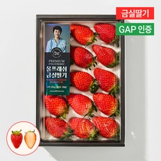 올프레쉬 [금실딸기] 수출하는 프리미엄 GAP 고당도 지리산 자락 금실 딸기 410g(특/12-20입)