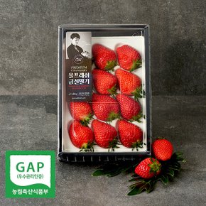 [금실딸기] 수출하는 프리미엄 GAP 고당도 지리산 자락 금실 딸기 410g(특/12-20입)