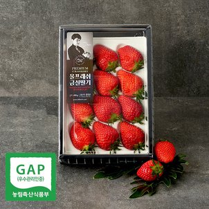 올프레쉬 [금실딸기] 수출하는 프리미엄 GAP 고당도 지리산 자락 금실 딸기 410g(특/12-20입)