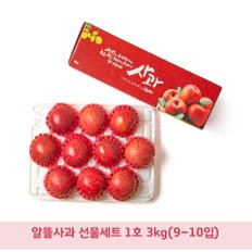 [알뜰] 저탄소 gap인증 사과세트1호 3kg(9~10입)/BFK