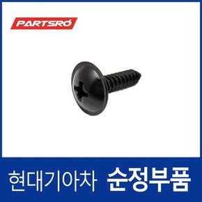 머드가드 휠가드 흙받이 순정 나사 볼트 (1249306257E)