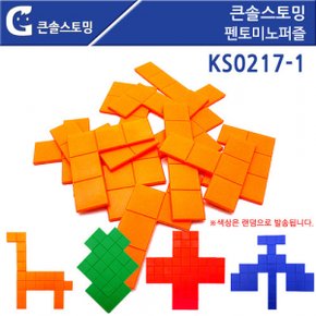 큰솔스토밍 GG 펜토미노퍼즐 1인용 KS0217-1