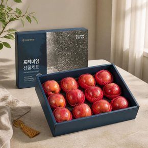 [바로배송]    [농협] 프리미엄 사과세트5kg(특품11-13과)