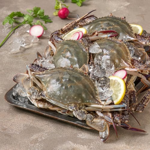 [9/2(수) 배송][냉장][국산] 가을제철 서해 햇꽃게 (3kg, 얼음포장)