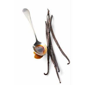 수제 바닐라빈 시럽 Vanilla Bean Syrup