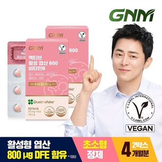 GNM자연의품격 [총 4개월분] GNM 액티브 활성 엽산 800 비타민B 2박스 / 아연 비타민C...