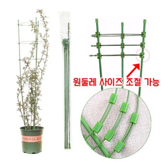 에코벨 화분지지대 45cm/넝쿨 꽃 식물지지대 화분 지주대