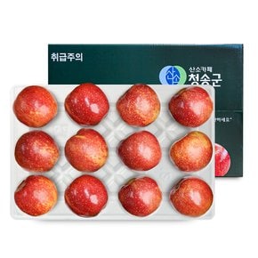 [오늘신선] 청송네자매 경북 청송 감홍 사과 선물세트 5kg(16과-17과내외)