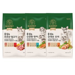 정관장 반려견 사료 & 간식 모음