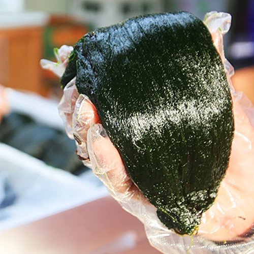 [대명수산] 완도 매생이(냉동) 350g*7재기 - 이마트몰, 원하는 상품을... 시간에 쓱, 이마트몰 [대명수산] 완도 매생이(냉동) 350g*7재기 - 이마트몰