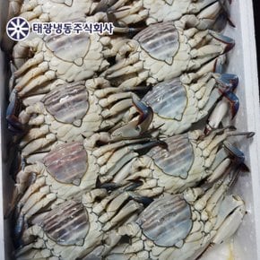 냉동 알배기 암꽃게 3kg (9마리 내외) 봄어획