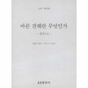 바른 견해란 무엇인가 : 정견 - 소리 시리즈 19