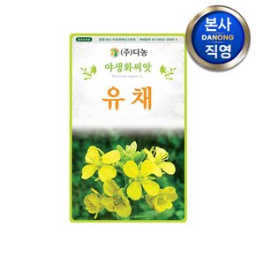 유채꽃 씨앗 1kg . 관상용 노란색 야생화 꽃 씨 종자 노지 월동 텃밭 파종