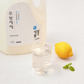 생활물가 주방세제 대용량 과일세척 레몬민트향 4.2L