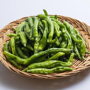 싱싱 국산 꽈리 고추 3kg 진주고추 풋고추 생고추 청고추 반찬 거리 (S33538099)