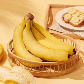필리핀산 감숙왕 바나나 1.5kg