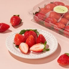 무농약 고령 딸기 500g(특)/팩