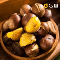 농협선별 부여 알밤 2kg 대 (1kgx2망)