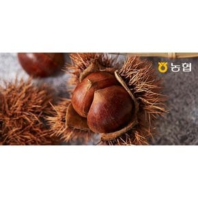 농협선별 부여 알밤 2kg 대 (1kgx2망)