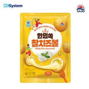 대림 한입쏙 찰치즈볼 1Kg 1팩