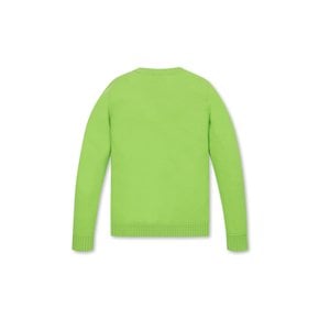 Women Cashmere Crew Neck Sweater(WWWAW23702)