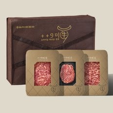 1++No9등급 투뿔 한우 구이 선물세트 600g (등심200g/안심200g/채끝살200g)