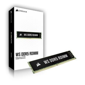 e_ 커세어 WS DDR5 256GB PC5-44800 CL40 ECC/REG 패키지 메모리 (32Gx8/5600MHz)