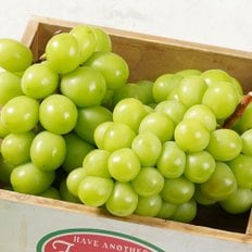 경북 영천 고당도 샤인머스켓 2kg 특품 2-3송이 포도