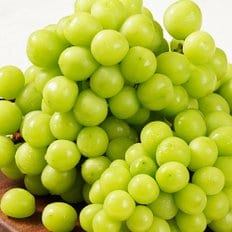 경북 영천 고당도 샤인머스켓 2kg 특품 2-3송이 포도