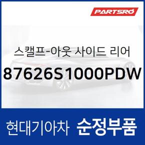 올뉴 싼타페TM 사이드미러커버 백미러커버,조수석쪽 (퓨어 화이트) (87626S1000PDW)