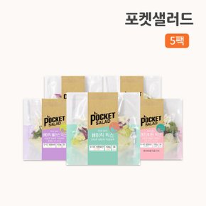 채소만 샐러드 5종 맛보기 (뜯어서 바로 먹는 샐러드 / 신선포장 진공패키징)