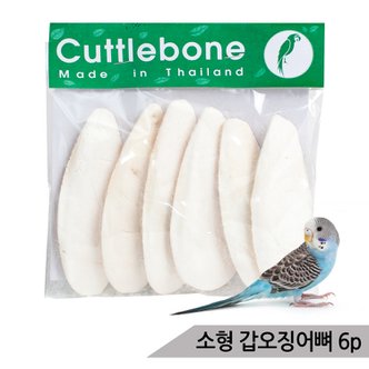 올블루 천연 갑오징어뼈 6P 앵무새간식 칼슘 영양제 부리강화