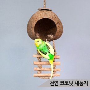 천연 코코넛 새둥지 중소형 앵무새 사다리 장난감