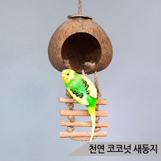 올블루 천연 코코넛 새둥지 중소형 앵무새 사다리 장난감
